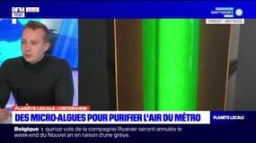 Planète Locale du lundi 26 décembre - Des micro-algues pour purifier l'air du métro 