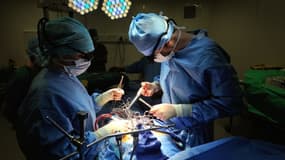 Des chirurgiens en pleine opération à Lille (image d'illustration)