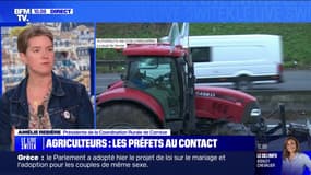 Crise agricole: "Les préfets sont à notre écoute, mais on a l'impression qu'après, ça bloque", affirme Amélie Rebière (Coordination rurale)