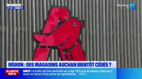 Auchan : 8 supermarchés du bassin lyonnais en passe d'être cédés à Intermarché et Netto
