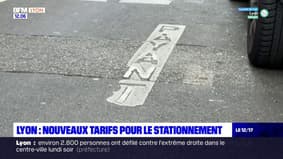 Lyon: les nouveaux tarifs progressifs pour le stationnement déployés