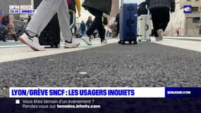 Grève à la SNCF: les usagers lyonnais inquiets