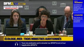 La nouvelle ministre de la transition écologique Monique Barbut veut combiner nucléaire et renouvelables