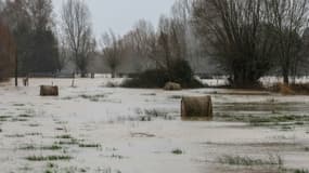 Un champ inondé à Witternesse, dans le Pas-de-Calais, le 2 janvier 2024.