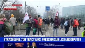 Mercosur: forte mobilisation d'agriculteurs européens à Strasbourg