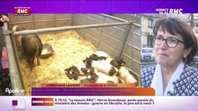 Lambert : "L'alimentation va augmenter mais c'est un effort de guerre"
