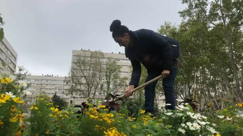 De nombreux maires franciliens ont pris des arrêtés anti-pesticides.