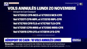 Aéroport de Caen: plusieurs vols annulés ce lundi en raison d'un mouvement de grève