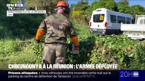 Chikungunya à La Réunion: 120 militaires mobilisés