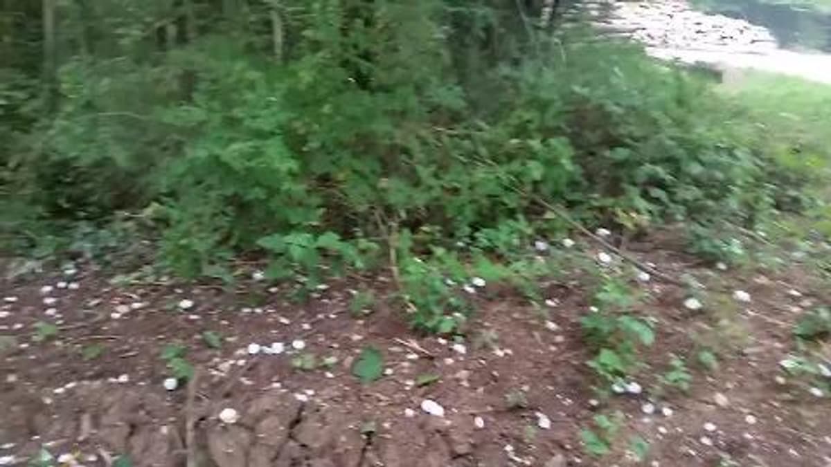 placeholder video