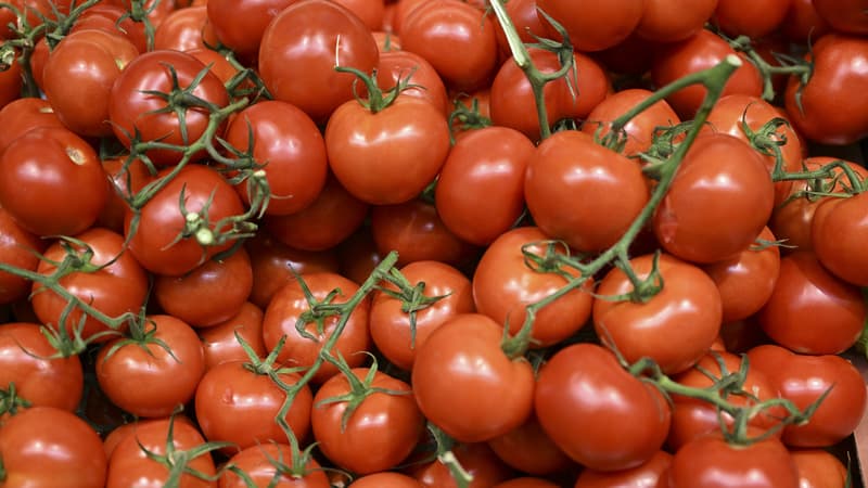 Tomates, courgettes, poivrons: acheter des légumes bio hors saison, c'est de nouveau possible