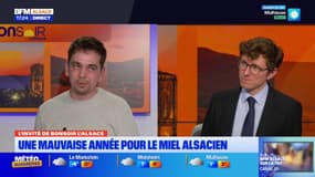 Alsace: quelle évolution des prix pour les miel artisanal cette année?