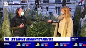 Ile-de-France: les ventes de sapins de Noël sont autorisées dès ce vendredi en extérieur 