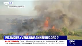 Story 6 : Incendies, vers une année record ? - 29/07