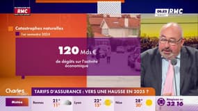Tarifs d'assurance : Vers une hausse en 2025?