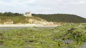 La plage Saint-Maurice, sur la commune de Morieux, dans les Côtes d'Armor, fermée au public en raison de la présence d'algues vertes. Soupçonnées d'être à l'origine de la mort de 36 sangliers sur cette plage en juillet, ces algues empoisonnent le littoral