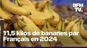 Nourrissant, riche, économique... la banane est le fruit le plus consommé par le Français en 2024 