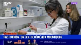 Pasteurdon: un centre dédié aux moustiques