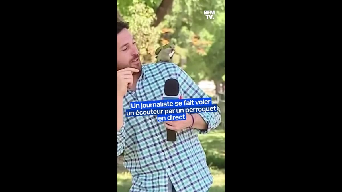 placeholder video