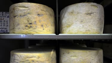 Exemple de gorgonzola