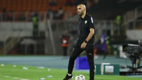 Walid Regragui lors de Maroc-Afrique du Sud (0-2, CAN), le 30 janvier 2024
