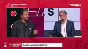 Gifle: pour Francis Lalanne, c'est une "petite caresse un peu appuyée sur la joue du Président"