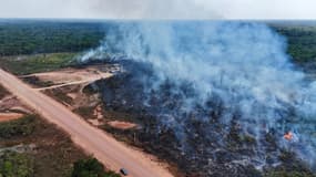 Un feu de forêt au Brésil, le jeudi 22 août 2024