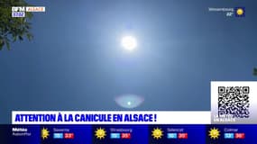 Des températures caniculaires sont attendues en Alsace dès lundi