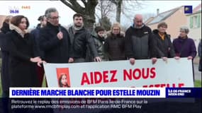 Seine-et-Marne: une dernière marche blanche pour Estelle Mouzin