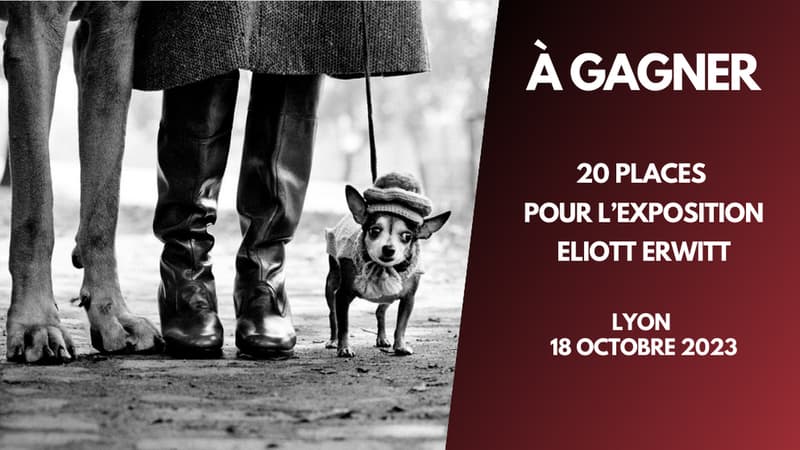 A gagner : 20 places pour l'exposition Eliott Erwitt à Lyon