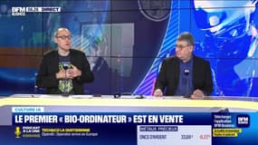 Culture IA : Le premier "bio-ordinateur" est en vente, par Anthony Morel - 17/03
