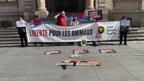Des membres de l'association Paris Animaux Zoopolis devant l'hôtel de ville de Lyon, où ils ont manifesté jeudi 21 mars pour demander la fermeture du zoo du parc de la Tête d'Or.