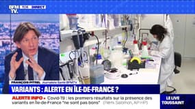 Variants du Covid-19: où en est-on en Ile-de-France ?