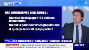 Auchan, La Redoute, Lactalis... Pourquoi ces entreprises françaises sont toujours en Russie