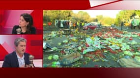 Agriculteurs/Extrême droite : "Il ne faut pas transformer un sujet de fond en sujet politique"