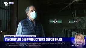 L'inquiétude des producteurs de foie gras - 09/11