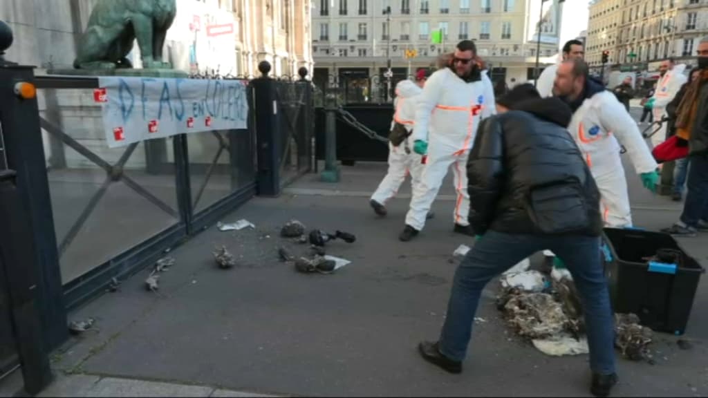 Les dératiseurs de Paris manifestent, avec un rat mort sous leur banderole  – L'Express