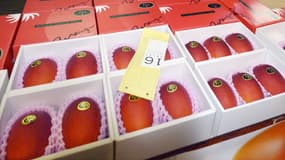 Deux mangues ont été vendues plus de 2.000 euros lors d'une vente aux enchères à Miyazaki, sur l'île de Kyushu.