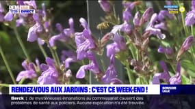 Nord-Pas-de-Calais: les parcs et jardins ouvrent leurs portes ce week-end 