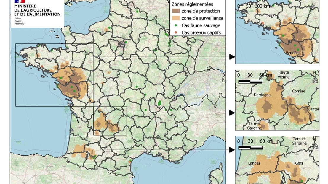 Le dernier bilan en date de l'épizootie de grippe aviaire en France par le ministère de l'Agriculture. Le dernier bilan en date de l'épizootie de grippe aviaire en France par le ministère de l'Agriculture.