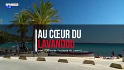 Au Cœur du Lavandou