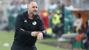 Djamel Belmadi lors du match Algérie-Niger (2-1, qualifs CAN 2024), le 23 mars 2023