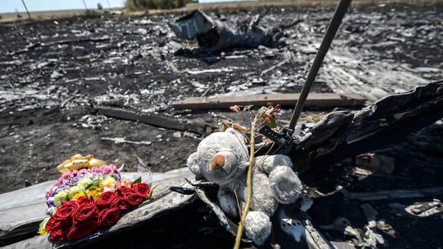 Sur les lieux du crash du MH17, dans l'Est de l'Ukraine, le 26 juillet.