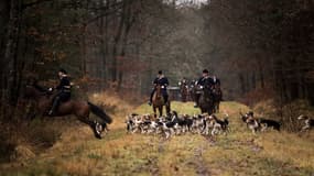 Chasse à courre (Photo d'illustration)