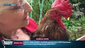 "La campagne sans les coqs, ça n'a aucun sens", des propriétaires de coq se mobilisent à l’occasion du procès du coq Maurice