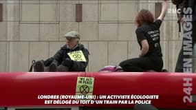 Cet activiste écologiste s'est installé sur un train en gare de Londres