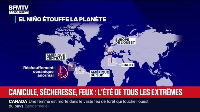 Canicule, sécheresse, inondations et feux de forêts: l'été de tous les extrêmes aux quatre coins du monde