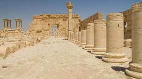Le site de Palmyre, en août 2007.