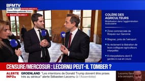 Mercosur: pour Thomas Ménager, il faut "rentrer un rapport de force avec la Commission"