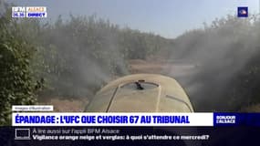 Bas-Rhin: UFC que choisir 67 attaque un arrêté préfectoral 